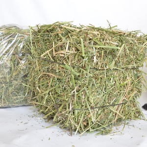 Heno de alfalfa secado al sol natural para alimentación animal, el mejor suministro al por mayor a granel para granjas, alimentación de ganado y caballos hoy - Product Image 1