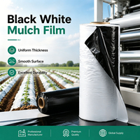 Film Mulsa Hitam Putih Ukuran Khusus untuk Rumah Kaca, Pembibitan Bunga, dan Proyek Pertanian Tanaman Musiman Profesional
