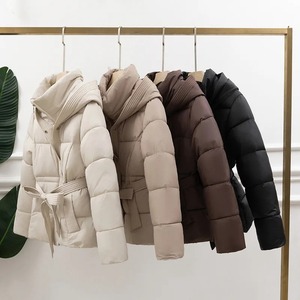 2024 nouveau hiver femmes à capuche doudoune 90% duvet de canard blanc épaissi veste courte femme décontracté vêtements d'extérieur polyvalents - Product Image 1