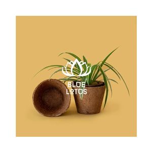 Pot en fibre de coco de haute qualité pour la récolte propre et efficace, outil essentiel pour le soutien des vignobles professionnels et les projets de gestion des cultures efficaces - Product Image 1