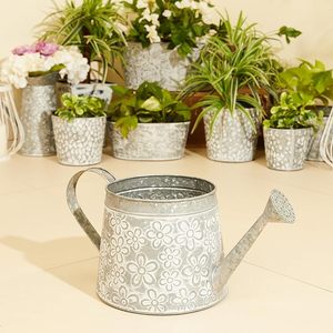Arrosoir à fleurs en métal avec poignée pratique Jardinière moderne de style ferme pour la décoration de jardin - Product Image 2