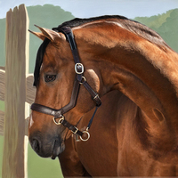 Harnais classique en cuir anglais pour cheval |   Accessoires en laiton massif, taille réglable, confortables, pour l'équitation, l'entraînement en écurie