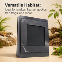 Livraison Rapide Directement de l'Usine Enclos Moderne de Luxe en PVC pour Reptiles avec Porte en Verre ou Acrylique Fournitures pour Amphibiens et Reptiles