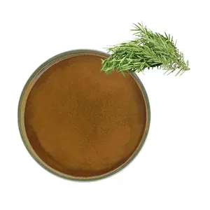 Zhengdi hot-sale High Quality Rosemary Extract powder Carnosic Acid/rosmarinic Acid/ursolic Acid