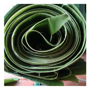 Feuille de bananier élégante du Vietnam, feuille de bananier fraîche écologique pour servir la nourriture, enveloppement naturel, facile à utiliser pour les cuisines à la mode - Product Image 3