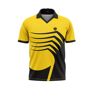 Uniforme de cricket profesional personalizado 2025, ropa deportiva de media manga de alta calidad, conjuntos de Cricket de Material de poliéster ligero - Product Image 2