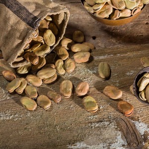 Petits fèves de qualité exportée Petits fèves de fèves fraîches de qualité supérieure nettoyées et classées pour la transformation des aliments en vrac - Product Image 5