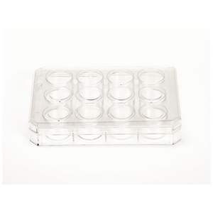 Placa de 12 Pocillos Nunc de Thermo Scientific, Tratada para Cultivo Celular, Placas de Petri (Cat. No. 156499) - Product Image 1