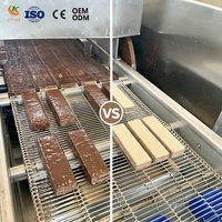 Vente Flash : Machine d'enrobage automatique au chocolat en acier inoxydable 304 certifiée CE avec tunnel de refroidissement pour gaufrettes, biscuits et noix