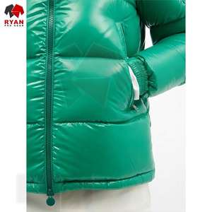 Personalizado Ryan Pro Gear tejido sólido impermeable a prueba de viento chaqueta acolchada con capucha para hombres invierno al aire libre cómodo brillante - Product Image 5