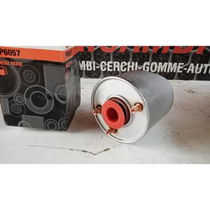 Filtro Carburante Ricambi Generici Vari Marchi Serie (90>) FP6057 Benzina - Product Image 6