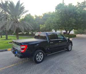 NUEVA CAMIONETA FORD SERIE F 2023 PLATINUM, 54,000 KM, 400-499 HP, 5 PLAZAS, 6 CILINDROS, TRANSMISIÓN AUTOMÁTICA - Product Image 6