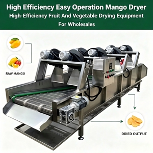 Séchoir commercial à air chaud pour fruits et légumes, idéal pour la production de séchage en masse dans les usines de transformation de mangues - Product Image 1
