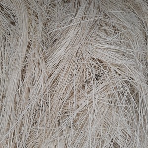 Núcleo de ratán natural no químico Núcleo de ratán redondo y plano de 99 Gold Data con alta calidad - Product Image 4