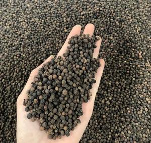 Pimienta Negra de Vietnam, Granos de Pimienta Secos Enteros, Especia Natural Premium, Venta al por Mayor, Proveedor y Fabricante de Procesamiento de Alimentos - Product Image 6