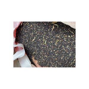 เมล็ดคาโนลาบรรจุภัณฑ์แบบกลุ่มเมล็ดคาโนลา - Product Image 5