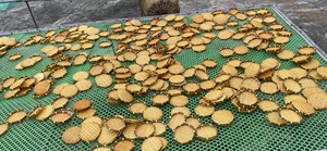 Paniers de vannage en bambou vietnamiens traditionnels pour un usage quotidien - Product Image 3