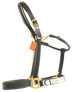 Halter en cuir anglais léger en cuir souple marron rembourré avec raccord en laiton - Product Image 2