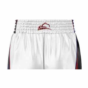 Shorts MMA et Kickboxing personnalisés les plus tendances pour les combattants et les amateurs de boxe Arts martiaux Wear - Product Image 4