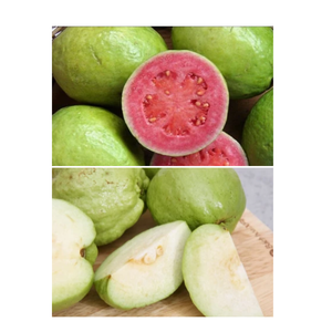 IQF <b>Frozen</b> Pink Guava <b>Fruit</b> From Vietnam | Whole and Sliced Guava with Good Price - Product Image 2
