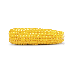 Yellow corn - High Quality Yellow Corn Maize <b>Grains</b> - Product Image 1