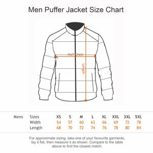 Veste d'hiver pour hommes High Street matelassée en nylon polyester bouffant avec capuche grande taille respirant bulle design décoration de poche - Product Image 6