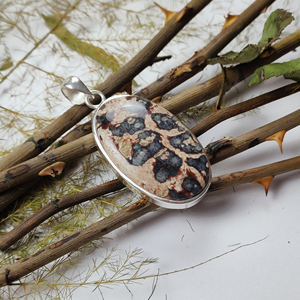Pendentif en argent sterling 925 avec pierre précieuse fossile de crinoïde ovale |   Bijoux en fossiles naturels, prix de gros en vrac - Product Image 3