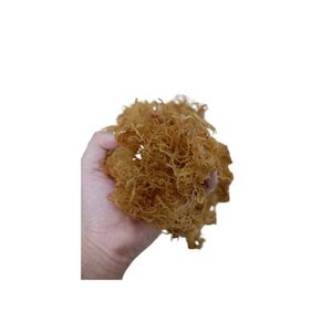 Sea Moss - Irish Moss Seaweed- seamoss-secado Eucheuma cottonii - Natural Wildcrafted, Pure, Non-GMO - Product Image 1