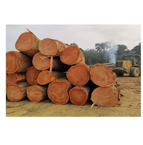 High-Quality Iroko timber and lumber Exporter Iroko <b>Logs</b> for Lumber Production - Product Image 6