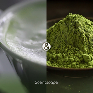 Incienso japonés ScentScape-Nippon Kodo, 30 varillas, Matcha Latte - Product Image 4
