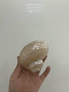 เปลือกหอยที่มีเอกลักษณ์เฉพาะตัวสำหรับปาร์ตี้ในธีมเขตร้อนของตกแต่งบ้านและเปลือกหอยที่สะอาดสำหรับเพาะเลี้ยงสัตว์น้ำขายส่ง - Product Image 2