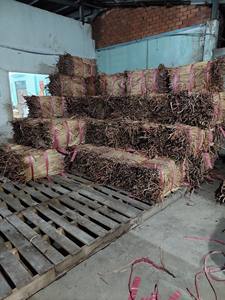 HYACINTHE D'EAU BRUTE SÉCHÉE DU VIETNAM - Product Image 5