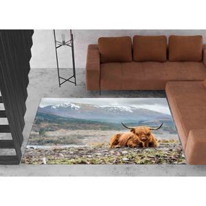 Tapis Vache des Highlands, Tapis de Ferme, Tapis Tendance, Tapis Animalier, Tapis Classique, Tapis Doux à Poils Longs - Product Image 3