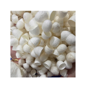 Rollo de algodón capullo de seda, hoja de relleno de fibra Natural para edredón, almohada, edredón, Material de relleno, producto textil ligero suave - Product Image 2