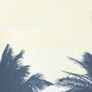 Plus Size <b>Cropped</b> Oversized Tee Solid Design Short Sleeve Beachwear - Product Image 4