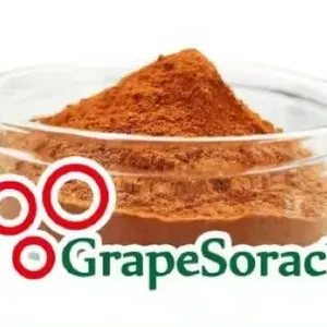 일본 제조업체 붉은 포도씨 추출물 ORAC 값이 높은 건강 관리 품목 "GrapeSorac"