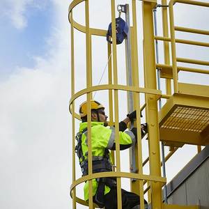 Vertical Access <b>Ladder</b> Safety Cage for Water Treatment Plants Industrial Use Vietnam Factory ISO Sedex Certified OEM - Product Image 2