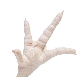 อุ้งเท้าไก่แช่แข็งฮาลาลแปรรูปแบบพรีเมี่ยมสำหรับตลาดส่งออก - Product Image 3