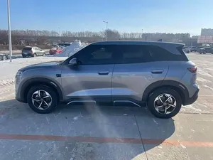 2025 B l D YOAN SUV AWD R18, Techo Panorámico Doble de Cuero y Litio, 6 Asientos, Portaequipajes de Aleación de Aluminio - Product Image 5