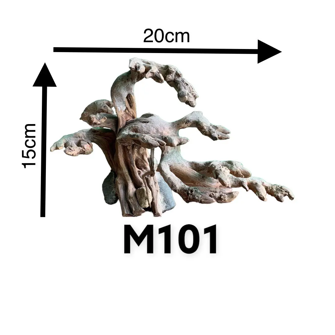ตู้ปลาบอนไซสำหรับตกแต่ง M101