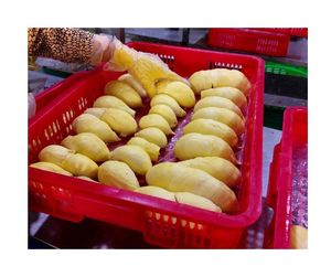 Durian congelado de alta calidad con sabor típico tropical-Deliciosa Pulpa de Durian congelada Ideal para el mercado de postres y el uso de pastelería - Product Image 5