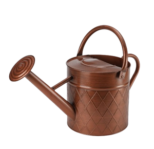 Arrosoir élégant pour la maison et le jardin, offrant un versement précis, une prise en main confortable et une construction robuste pour un usage quotidien. - Product Image 4