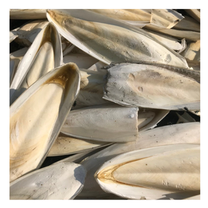 Best Price Chic <b>Cuttlefish</b> Bone From Vietnam, 100% Fresh <b>Cuttlefish</b> Bone For Pet Toy, Eco-Friendly <b>Cuttlefish</b> Bone For Polishing - Product Image 5