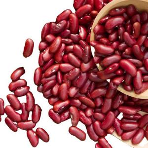 High Quality Wholesale Bulk Dried Black <b>Kidney</b> <b>Beans</b> From France for Sale - Product Image 4