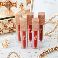 Rouge à lèvres coréen Black Rouge Eco-Friendly High Pigment Air Fit Velvet Tint Long-Lasting Matte Lip Gloss Couleurs vibrantes Produit cosmétique