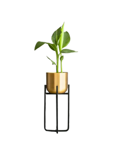 Modern Metal round Planter Stand High Quality Matt Black with Stand for Home & Office Decor for Garden - Product Image 5