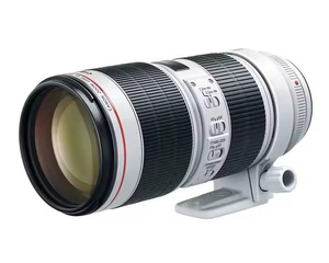 Objectif MERIT Resolution EF 70-200mm F/2.8L IS III'USM avec sac de transport - Product Image 4