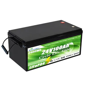 Customization oem/odm battery packs lithium ion marine battery lithium ion 12v 24v