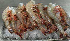 Camarones Congelados IQF Sin Piel, Empaque a Granel en Venta - Product Image 3