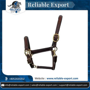 Un fournisseur indien propose un licou en cuir marron de style selle anglaise avec raccord de basse uni au design surélevé - Product Image 2